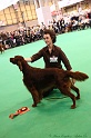 Crufts2011_2 118